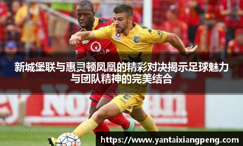 伟德体育