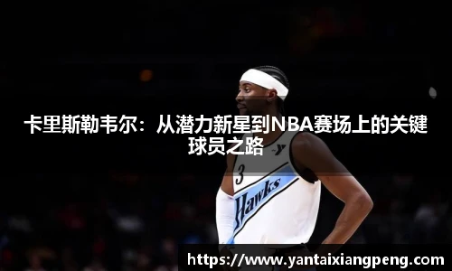 伟德体育