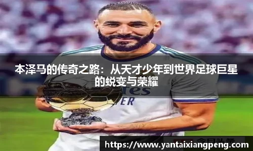韦德体育官网