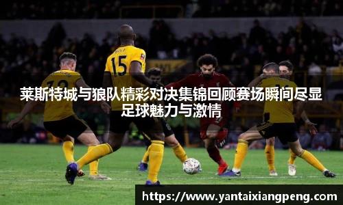 莱斯特城与狼队精彩对决集锦回顾赛场瞬间尽显足球魅力与激情